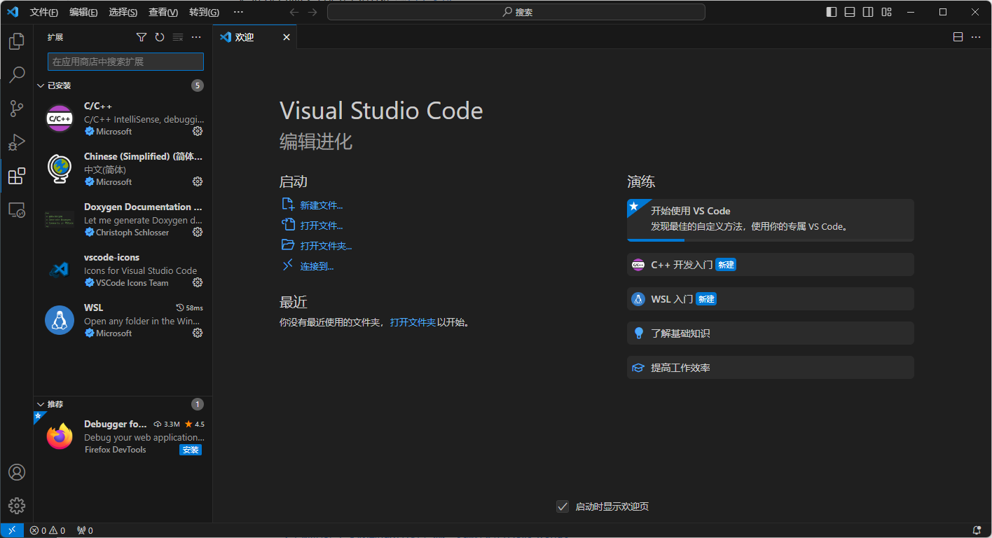 安装VS code和插件