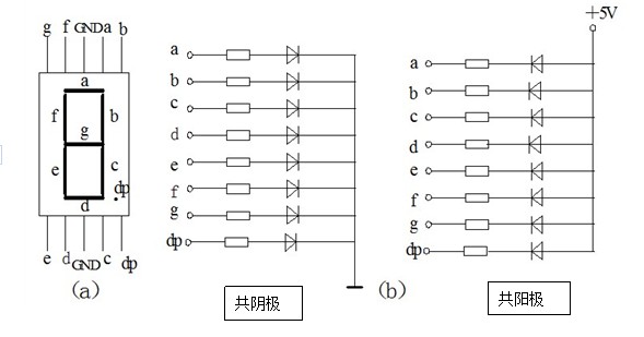 数码管原理图.jpg