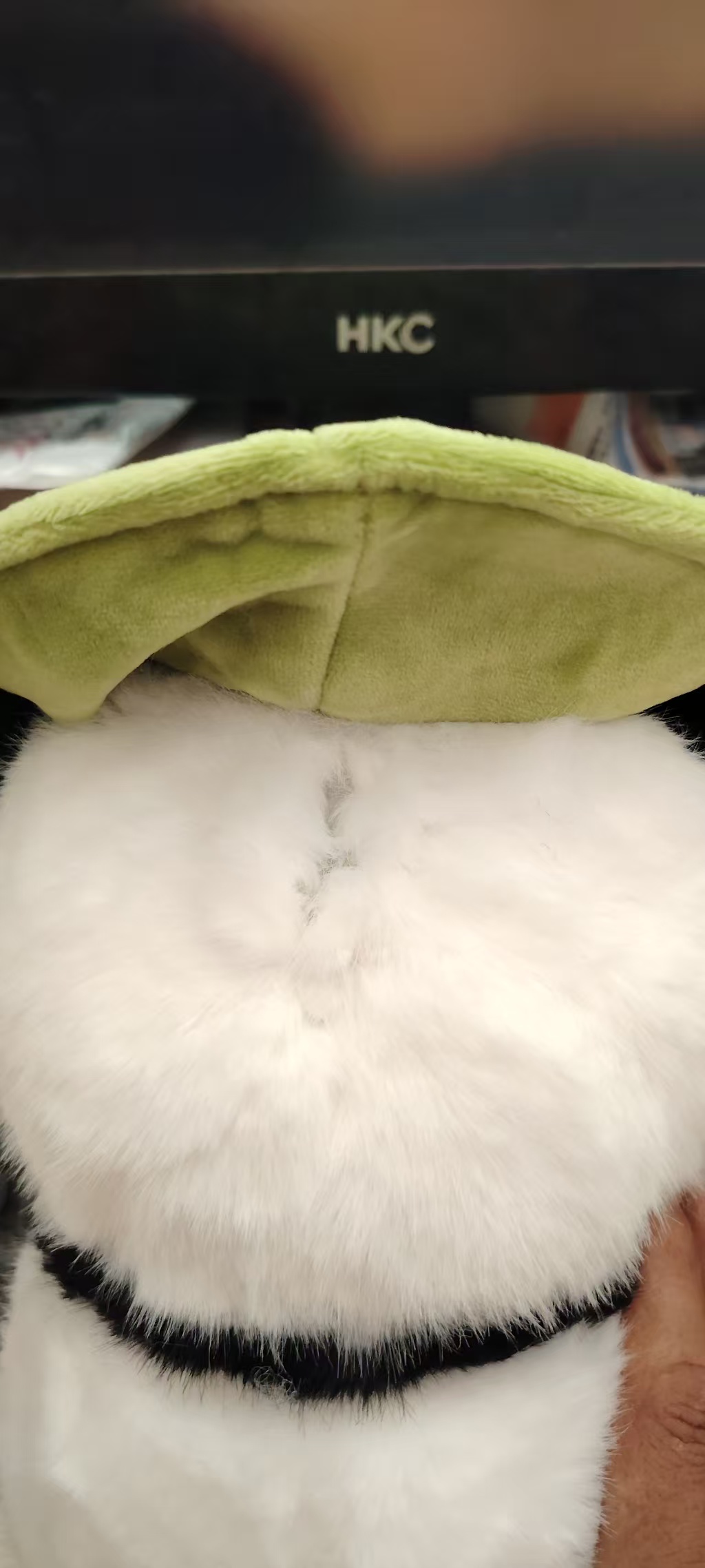 开关及充电口
