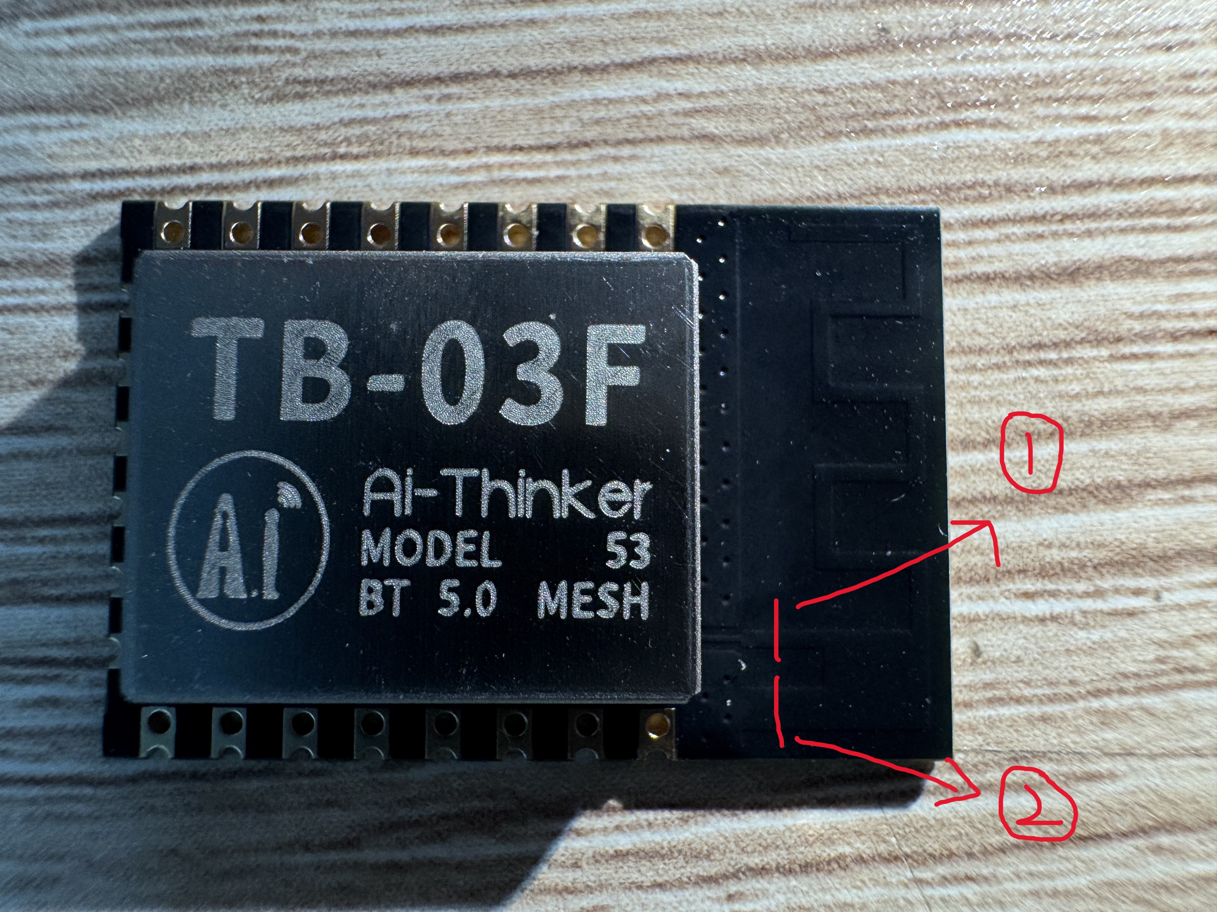 TB03FEMI-12.jpg TB03FEMI-12.jpg